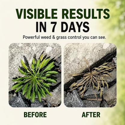 🔥🔥2026 SALE - Fast-Acting Natural Weed & Grass Killer Spray-gm