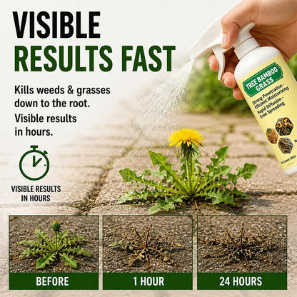🔥🔥2026 SALE - Fast-Acting Natural Weed & Grass Killer Spray-gm