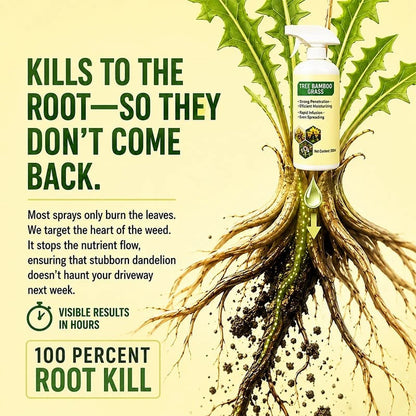 🔥🔥2026 SALE - Fast-Acting Natural Weed & Grass Killer Spray-gm